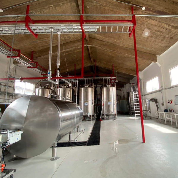 Experiencia en la fábrica (Incluye cata)